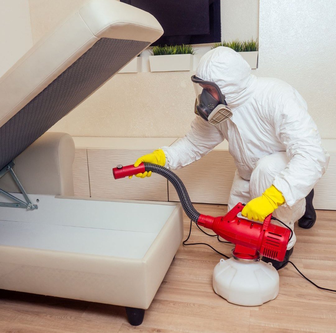 Indore Pest Control | +91 70111 51215